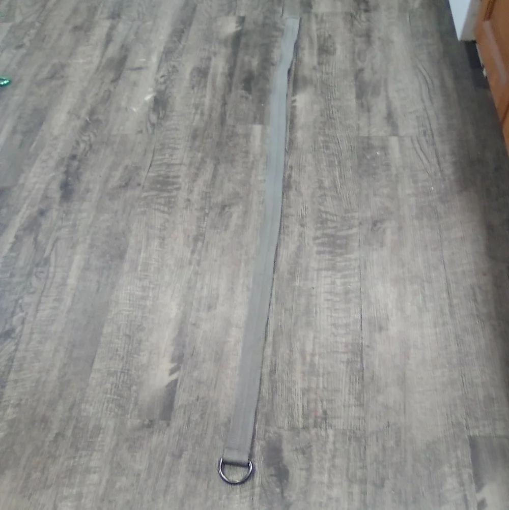 Gray Wearable Belt
